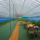 석창농장 이미지