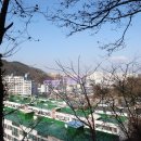 화순 우체국 앞 이미지