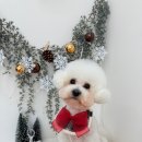 플라이봉 이미지