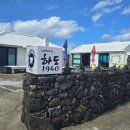 1940 | 제주도 동쪽 구좌읍 카페 추천, 하도1940 방문 후기