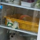 마리의냉장고 이미지
