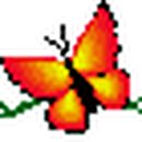 ANOTHER BOM 이미지