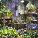 두라농장 이미지