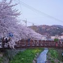 시차 뮤비가 떠오른 비오는 일요일 이미지