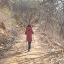 동산사슴목장 이미지