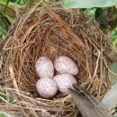 새 하나농장 이미지