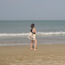 진하해수욕장 이미지