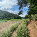 장현2리 마을회관 이미지