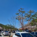 풍일로(일직면) 이미지