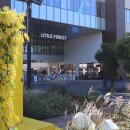 7차-현대프리미엄 아울렛 대전점 (2025.10.28) 이미지