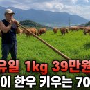 "마블링에 다 속고 있습니다", 17년째 풀만 먹여 소 키우는 70대의 하루 이미지