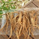 보드미농장 이미지