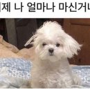 한국폴리텍대학충주캠퍼스 네이버블로그