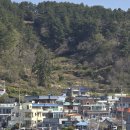 욕지바다낚시민박 | 욕지도 민박에서 보낸 1박2일 행복했어요