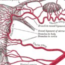 하루키즈풀빌라 이미지