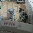 자매헤어 - 화순군 | 자매헤어