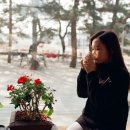 소연필름 이미지