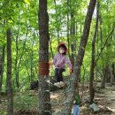 원동초등학교이천분교장 이미지