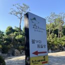 숲속쉼터옆 | 여주] 수도권 근교 숯가마 찜질방 수영, 찜질 둘다 ! 즐길수있는 자연속 쉼터 “숲을 그리다”방문 후기