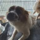 풍각면사무소 이미지