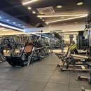 브라운 휘트니스 이미지