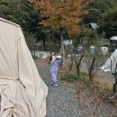 비타민팜 이미지