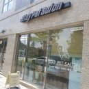 스테이 펫 살롱 | 청주 송절동 애견미용 스테이펫살롱(feat. 부끄러운 사장님)