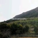 금오도공인중개사사무소 이미지