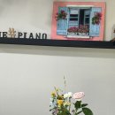 더샵피아노 음악교습소 이미지