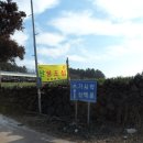 휘석지질 이미지