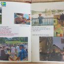 이리북초등학교 이미지