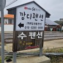 비타민C펜션