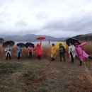 대청호오백리길 호반열녀길 이미지