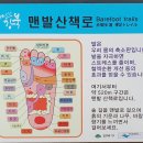 10월7일(토)10월정기도보 북한산 우이령길 이미지