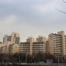 느티마을길 이미지