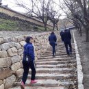 동민농장(1) 이미지