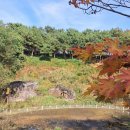 왕바위공원 이미지