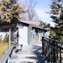 봉산 편백숲 공중화장실 이미지