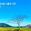 새별오름 티스토리