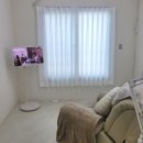 비어스테이션 | 영등포SMP 스테이션SMP&amp;DOT 두피문신후기 2번째 방문 기록