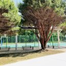 웅포문화체육센터 이미지