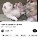 늘푸른소나무작은도서관 | 25 Oct(II) : 가을의 이야기 안에서 영원히