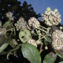 혜승농장 이미지