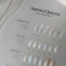 뉴오로라 이미지