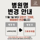 뉴헤어시티