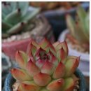 블루핑거(주) 이미지