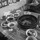 강변생오리 이미지