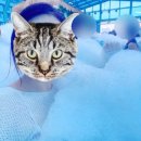 경포유치원 | [강릉] 여름에 다녀온 강릉 ’세인트존스 호텔‘ 2박 3일 기록