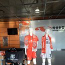 향남유나이티드 | K리그3 직관후기 화성fc vs 울산시민축구단 최다승점우승 화성fc k리그2 진입프로화추진 서명운동 설문...
