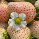 태연1농장 이미지